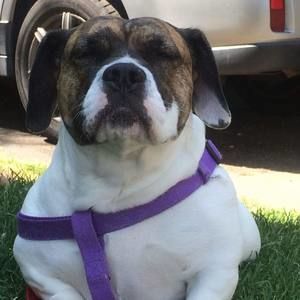 Meet your Posher, Sanicio